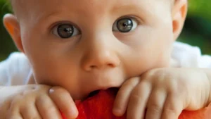 Carrinho de Bebê Versátil: Como Escolher o Ideal para Seu Estilo de Vida