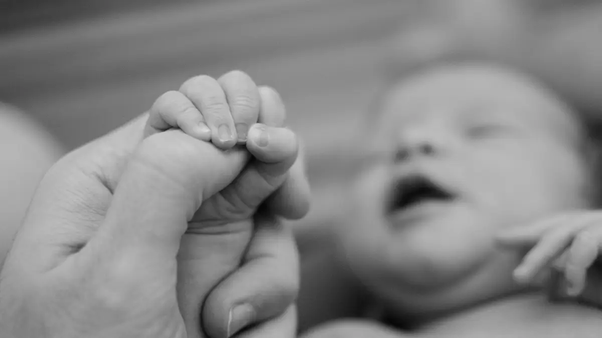 Melhor Carrinho de Bebê Custo-Benefício em 2025: Conforto Sem Gastar Muito